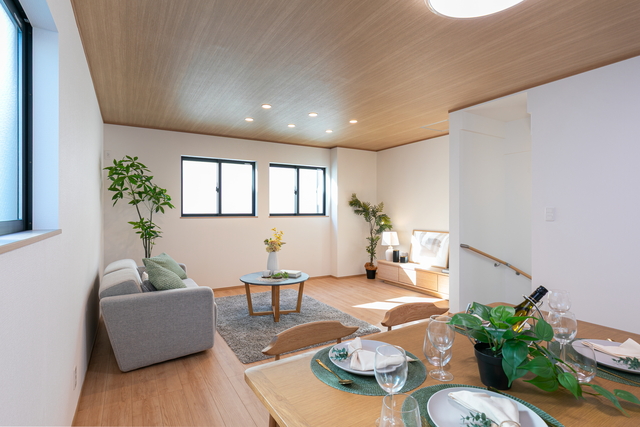 パラダイスリゾート パラダイスリゾート(2024/未開封)【P】{SV-P}