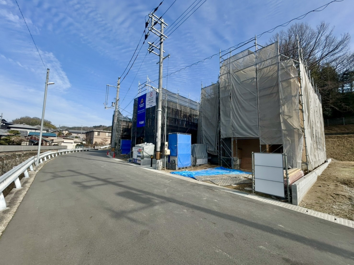 2025年12月中旬撮影 