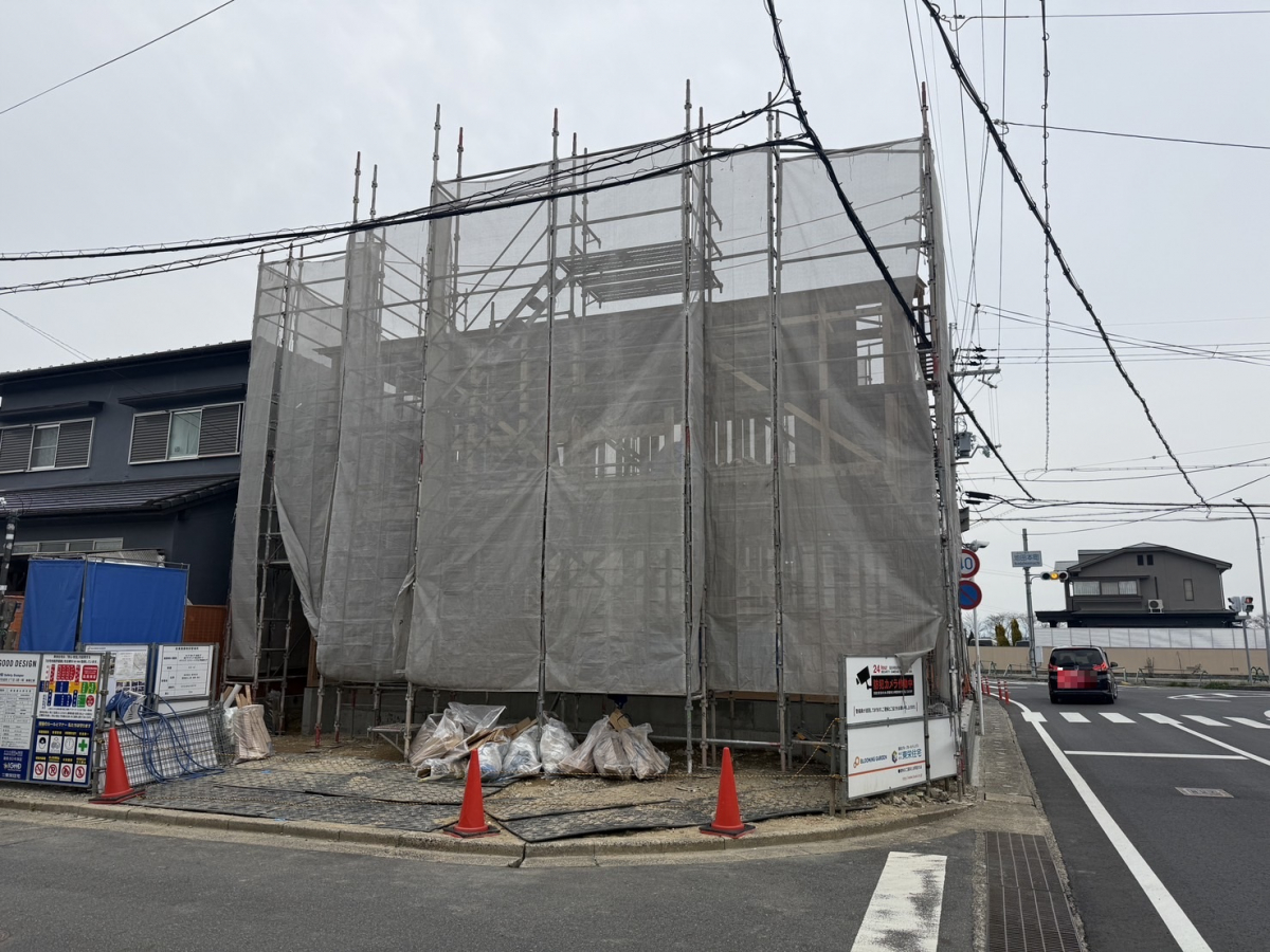 【販売現地】2026.3.22撮影 