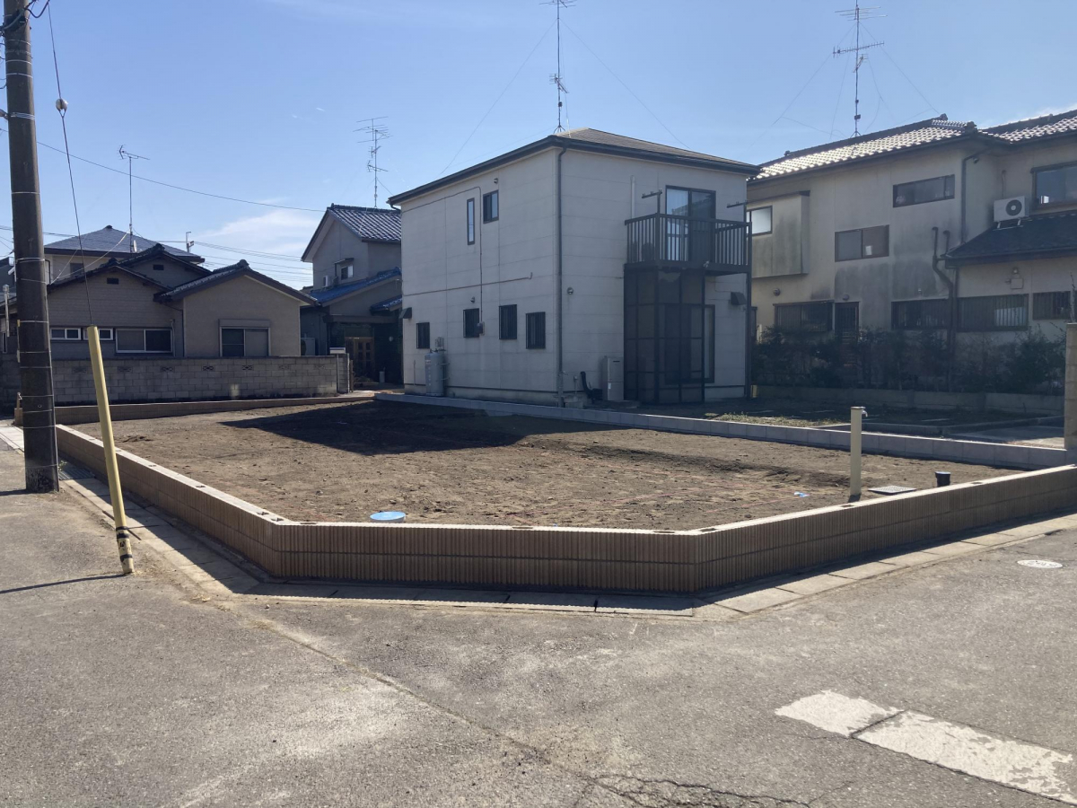 現地写真 2月撮影 