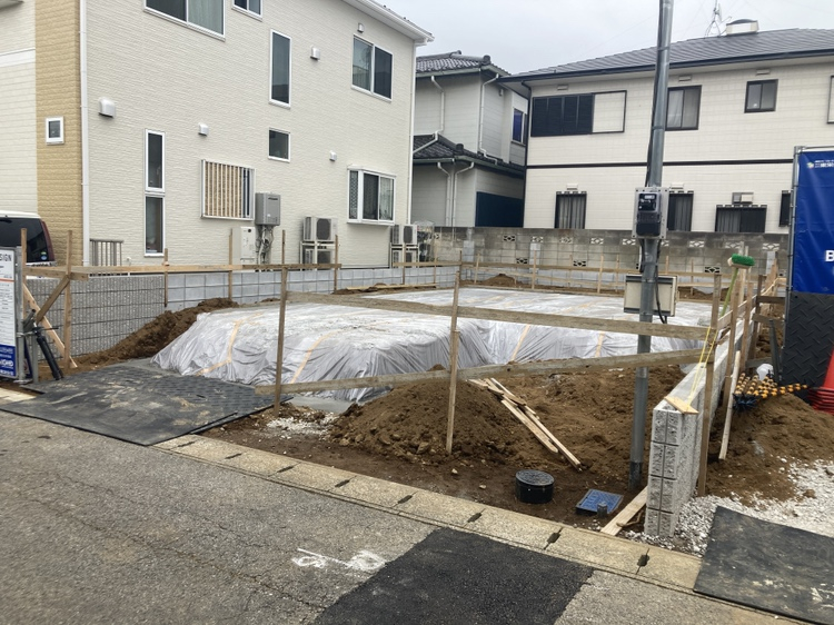 6月上旬撮影 