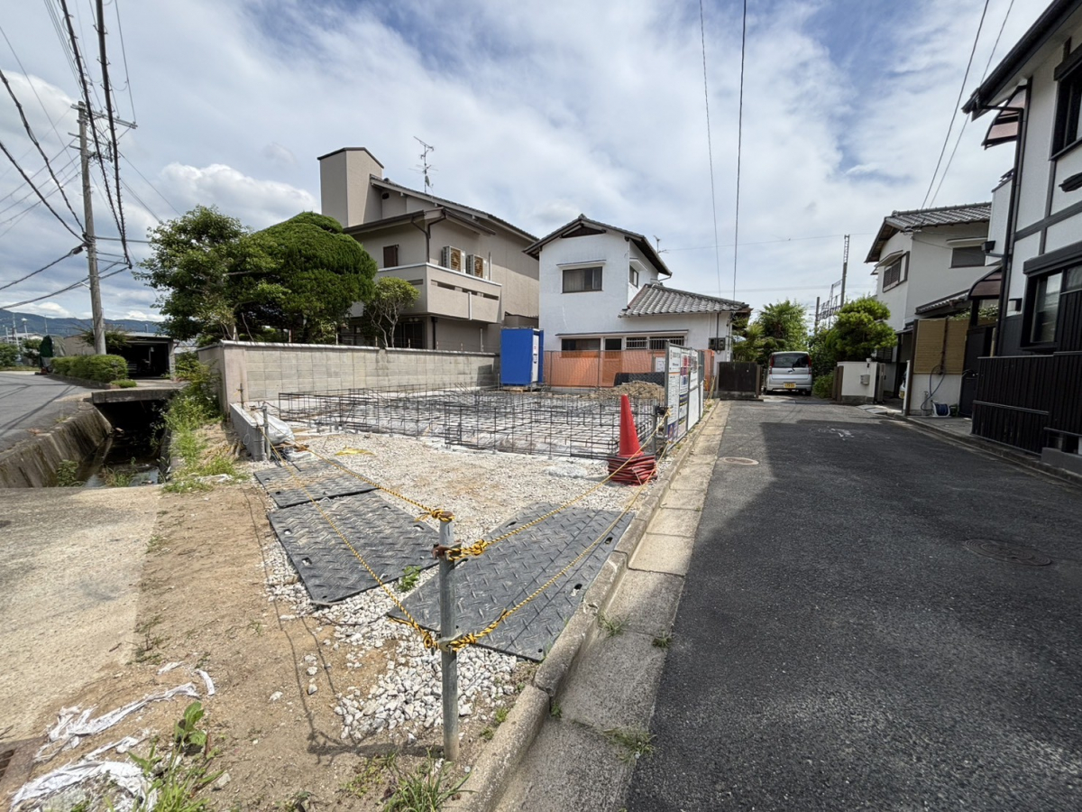 2026年6月中旬現地撮影 
