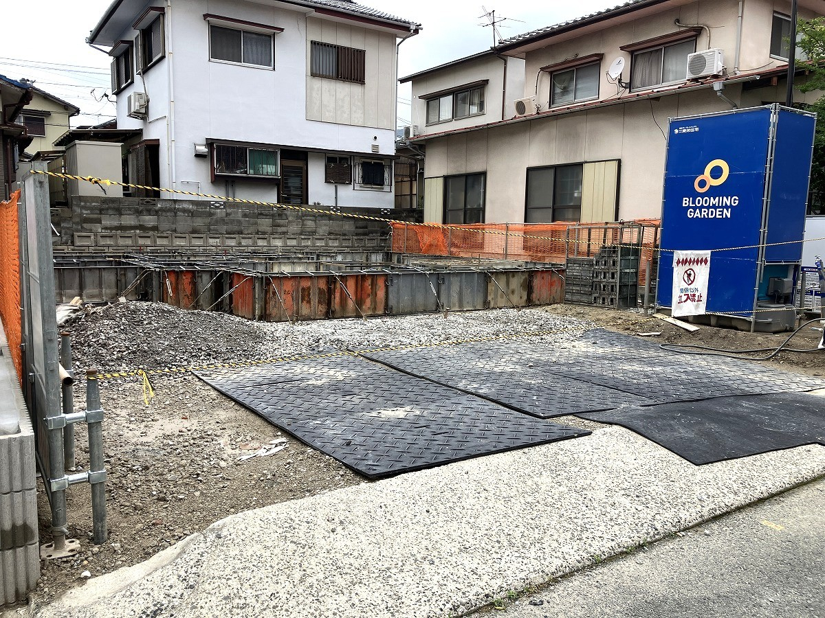 6月21日撮影 