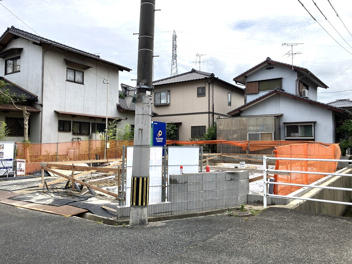 6月21日撮影 