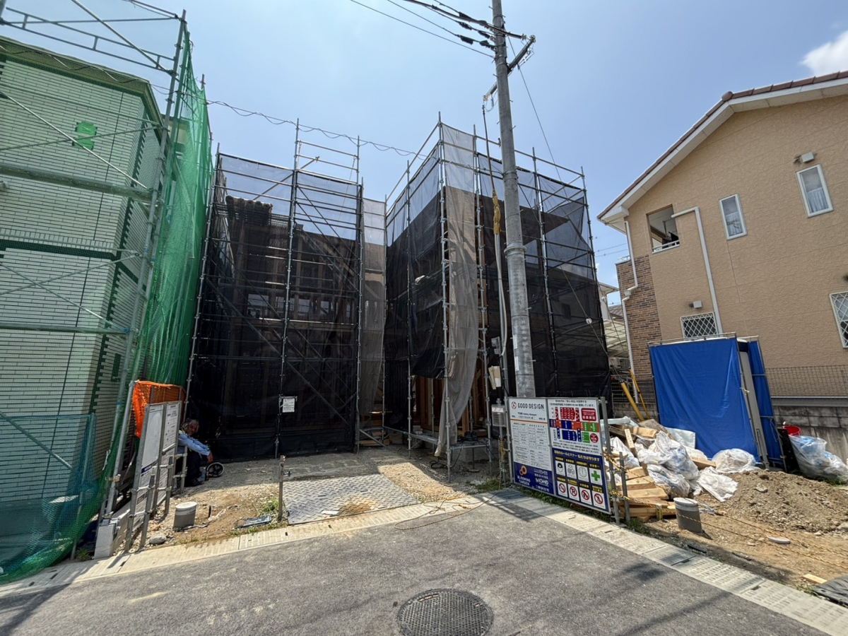 2026年7月下旬現地撮影 