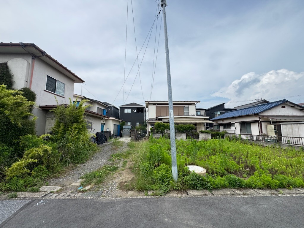 現地写真 