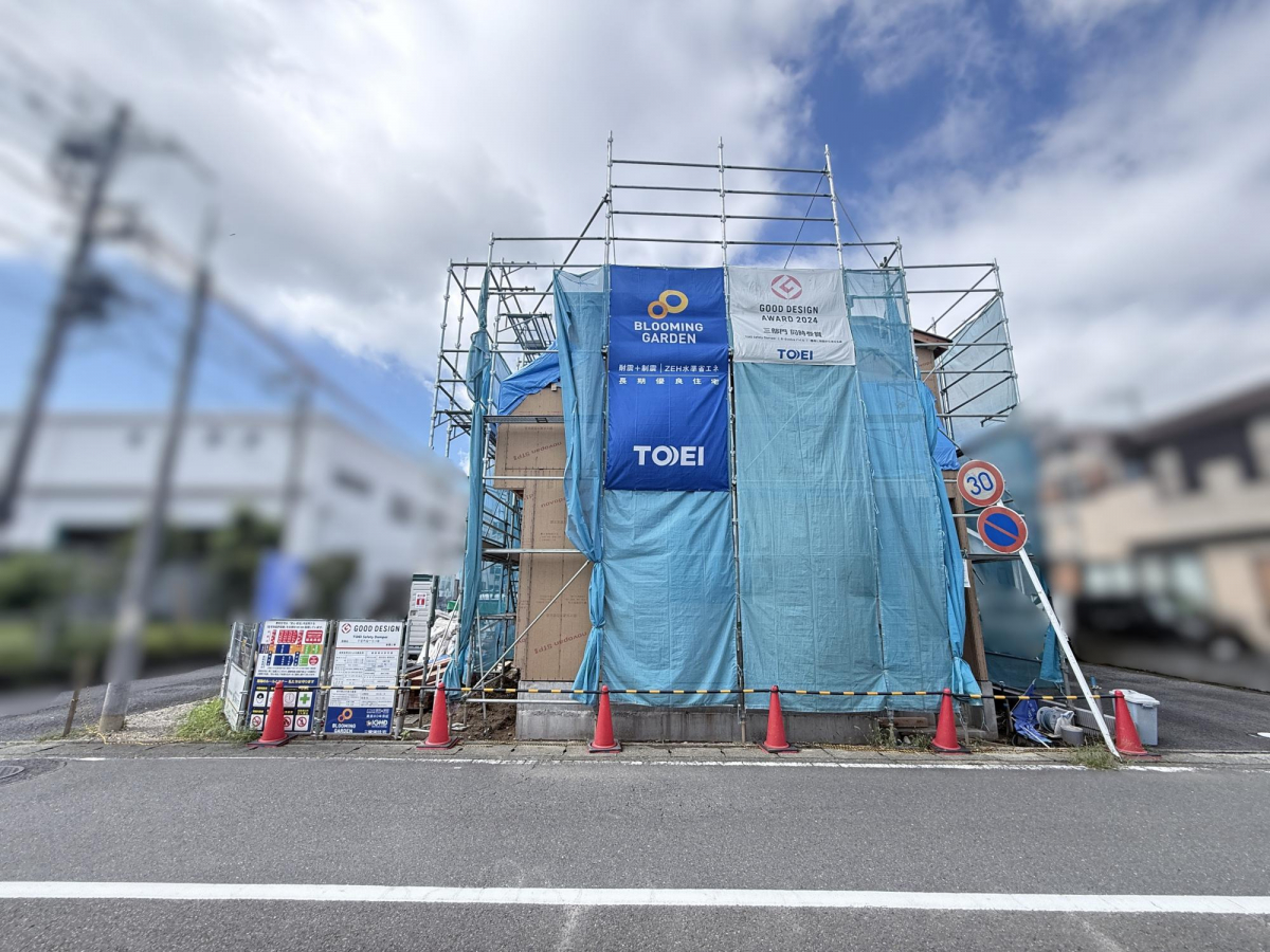 現地写真 
