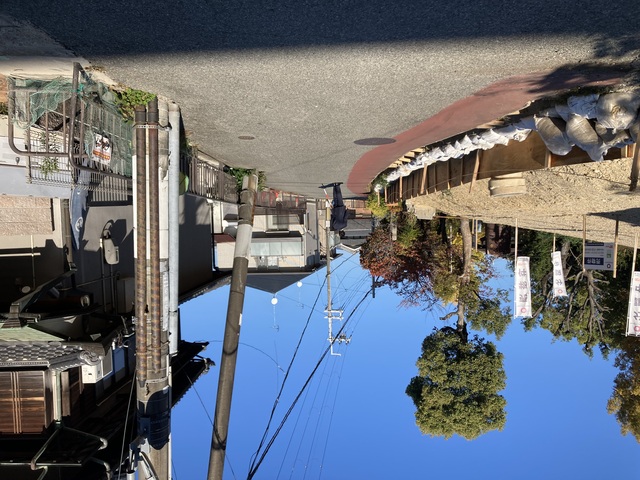 現地（前面道路含む）3